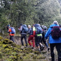 Venta Burguillos-Valdegobía (2)